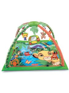 Play Gym